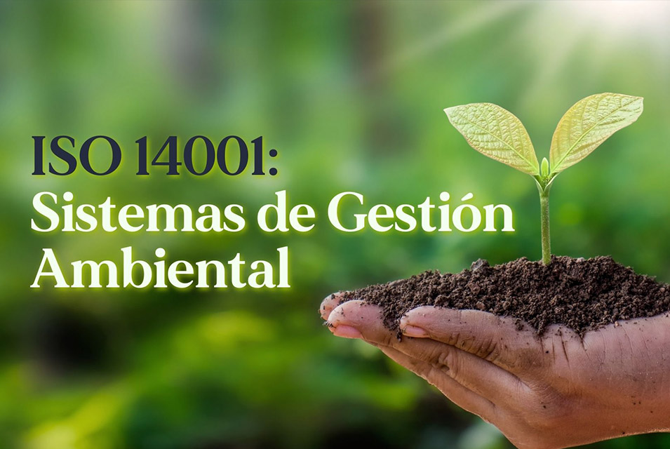 Planta germinada en tierra que es sostenida por mano humana, junto a texto: "ISO 140001: Sistemas de Gestión Ambiental"
